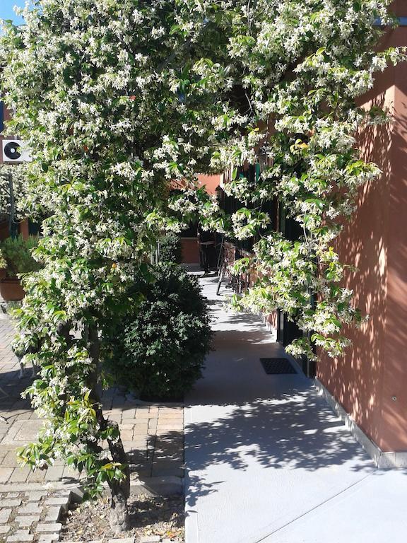 Dreon B&B Portogruaro Rum bild