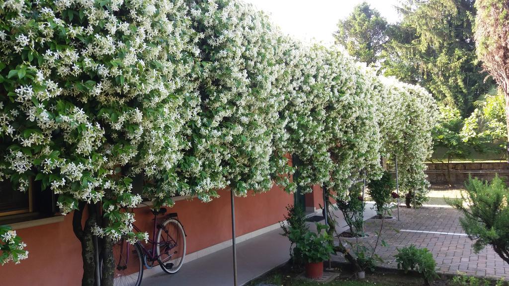 Dreon B&B Portogruaro Exteriör bild